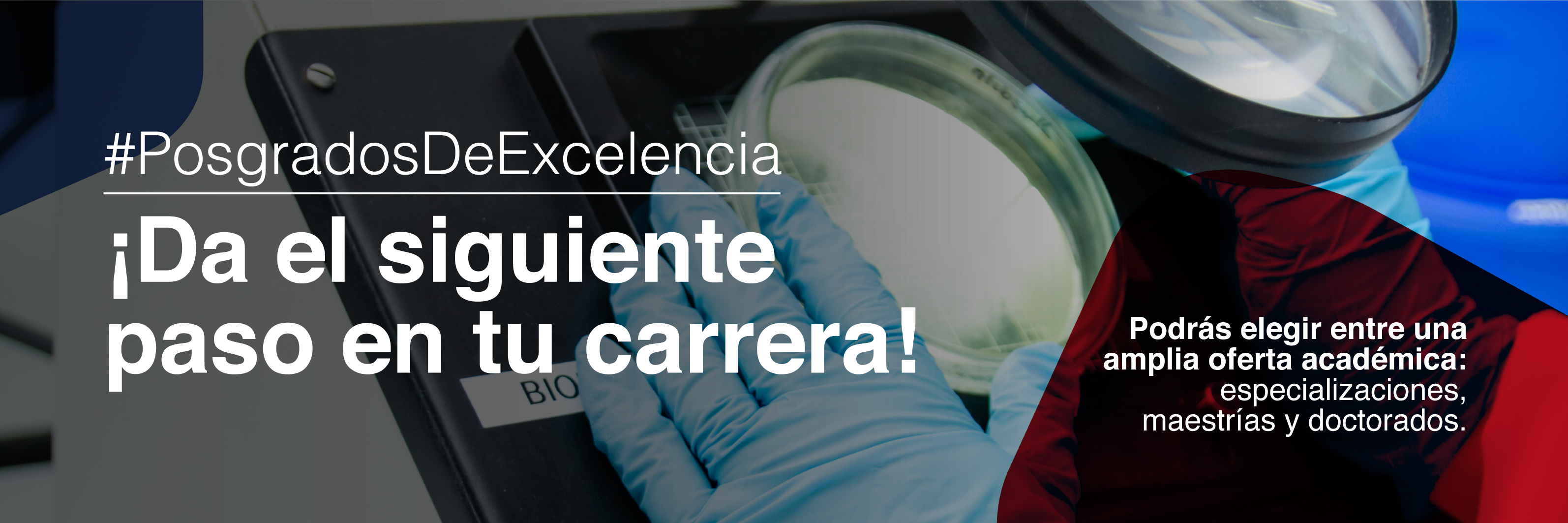 La imagen no esta disponible